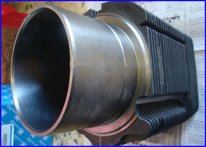 101WR09  Engine Block Liner , Cast Iron Cylinder Sleeve For Deutz FL413 Engine